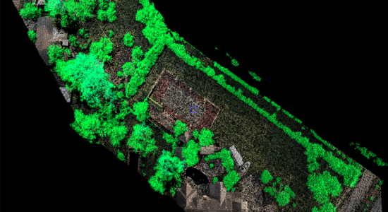 Insight-Vegetation Insight-Vegetation